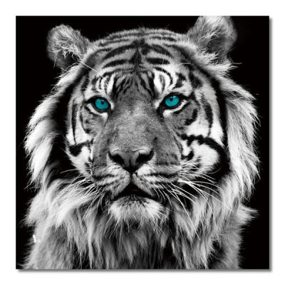 Blue Eyed Tiger Wall Art Brushed Aluminium Metal Black White Hanging Modern 80cm   332327226416